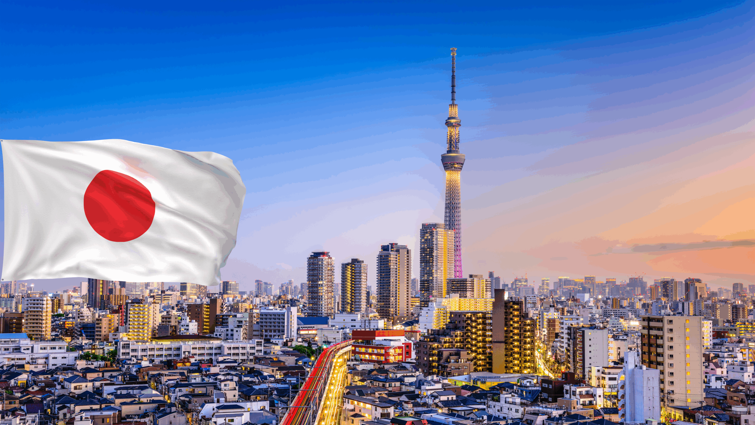 منحة 🇯🇵 اليابان