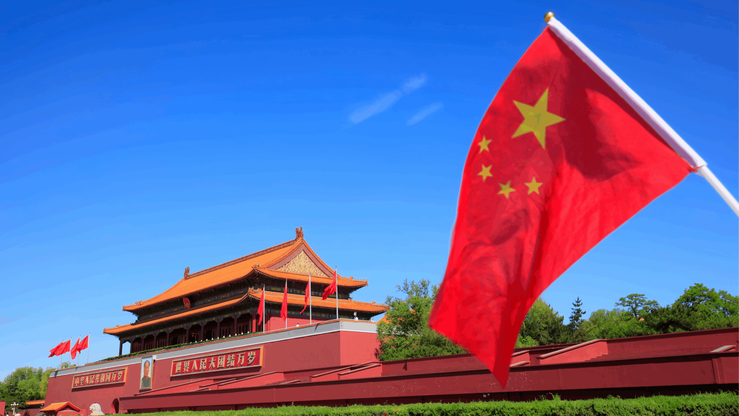 منحة 🇨🇳 الصين